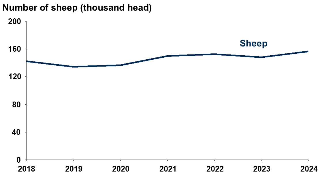 Line graph showing the change in organic sheep numbers between 2018 and 2024.