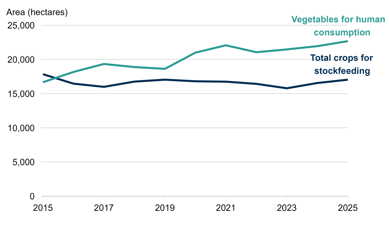 Line chart showing the area of vegetables grown for human consumption and crops grown for stockfeed from 2015 to 2025. Vegetable crop area has shown a steady upward trend since 2015, overtaking stockfeed in 2016 and remaining higher each year since. Stockfeed crop area has remained relatively stable over the period.