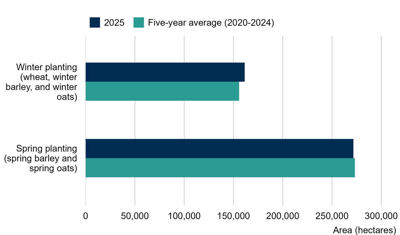 Bar chart comparing spring and winter crop planting areas between the five-year average of 2020 to 2024 and 2025. Spring planting of barley and oats was 273,100 hectares for the five-year average and 271,700 hectares for 2025. Winter planting of wheat, barley and oats was 155,700 hectares for the five-year average and slightly higher at 161,300 hectares for 2025.