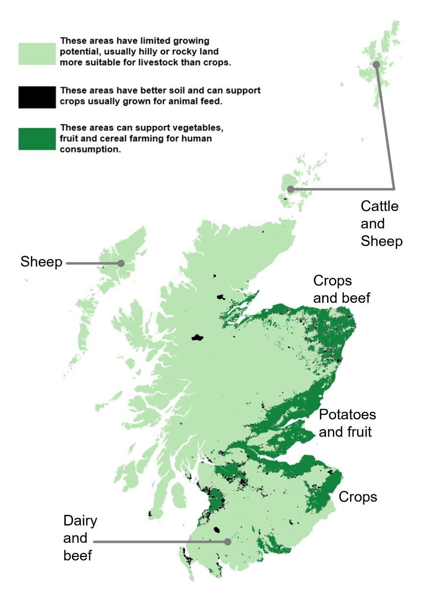Map of Scotland showing land use and growing conditions. Most land in the west and north coasts, Highlands and Islands, and Dumfries and Galloway has limited growing potential and is mainly used for livestock. Labels indicate the majority of land use is used for sheep farming in the Highlands and Lewis; cattle and sheep in Shetland and Orkney; and dairy and beef in Dumfries and Galloway. Areas with better soil conditions, such as the east coast and Ayrshire, support crop production. East Lothian is mainly used for crops; Fife for potatoes and fruit; and Aberdeenshire for crops and beef