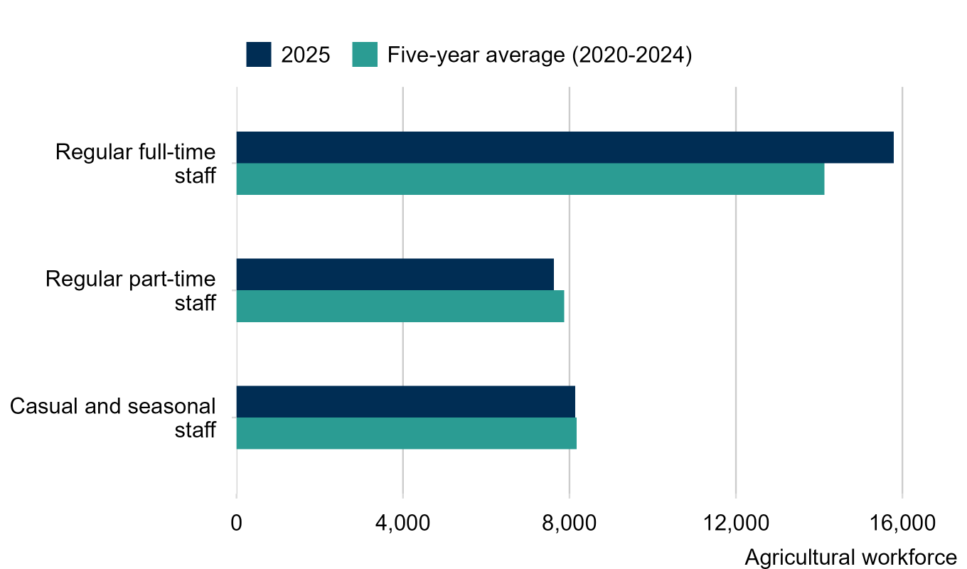 Clustered bar chart showing the change in labour between the five-year average (2020-2024) and 2025. It shows a greater number of regular full-time workers, a slightly smaller number of regular part-time workers, and a similar number of casual and seasonal workers when compared with the five-year average.