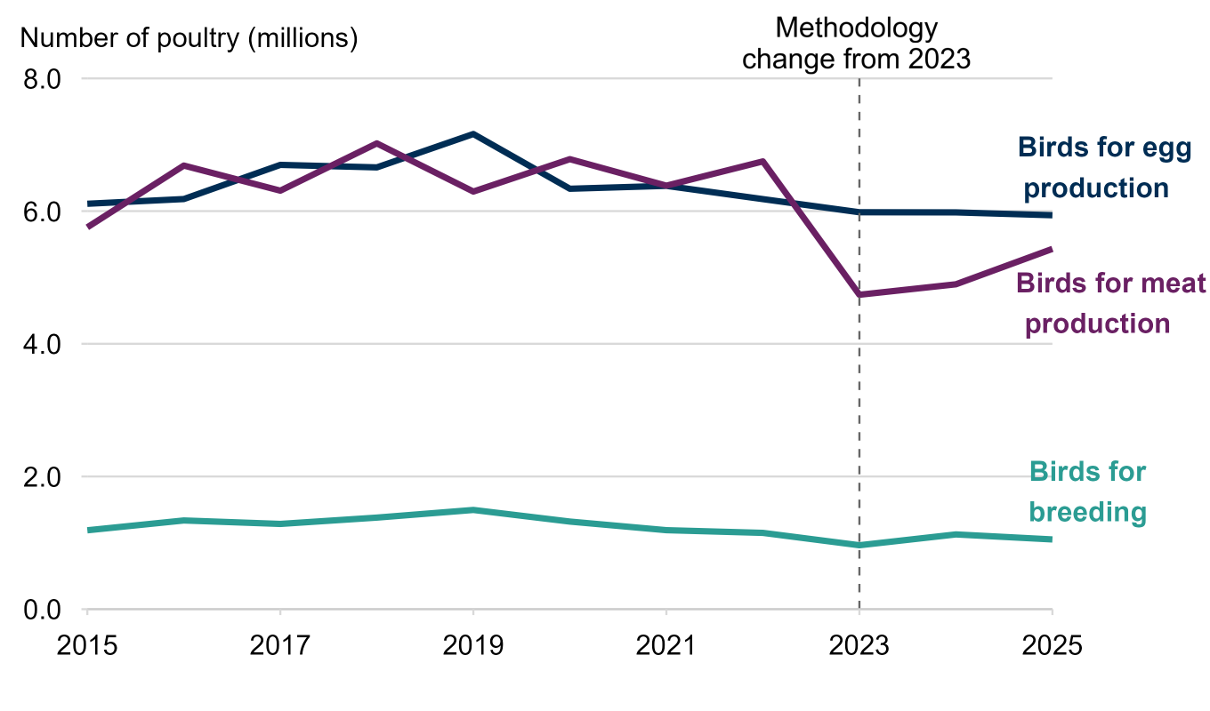 Line chart showing the number of birds for meat production, egg production, and breeding between 2015 and 2025. In 2025 there were 5.33 million birds for meat production, 5.94 million for egg production, and 1.05 million for breeding.