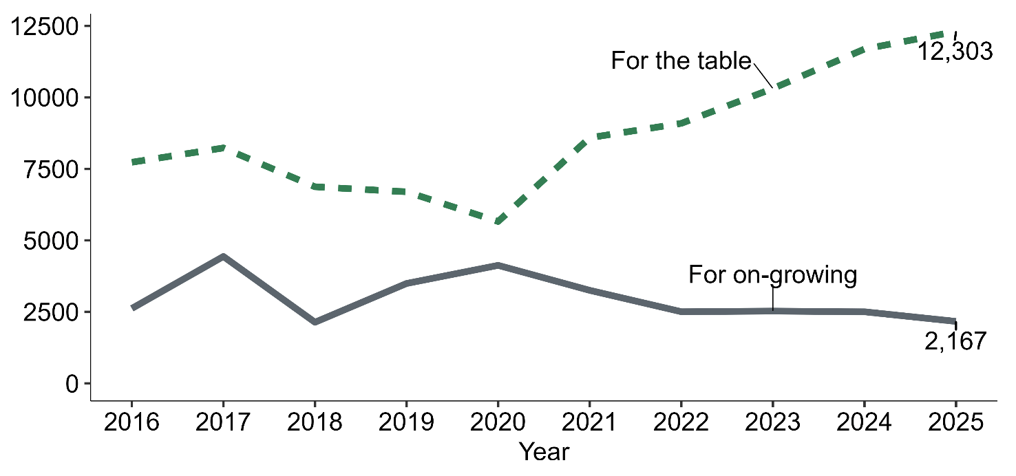 Line chart showing common mussel production in tonnes from 2016 to 2025 for table use and on‑growing.