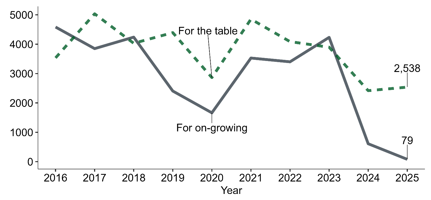 Line chart showing Pacific oyster production in thousands of shells from 2016 to 2025 for table use and on‑growing.