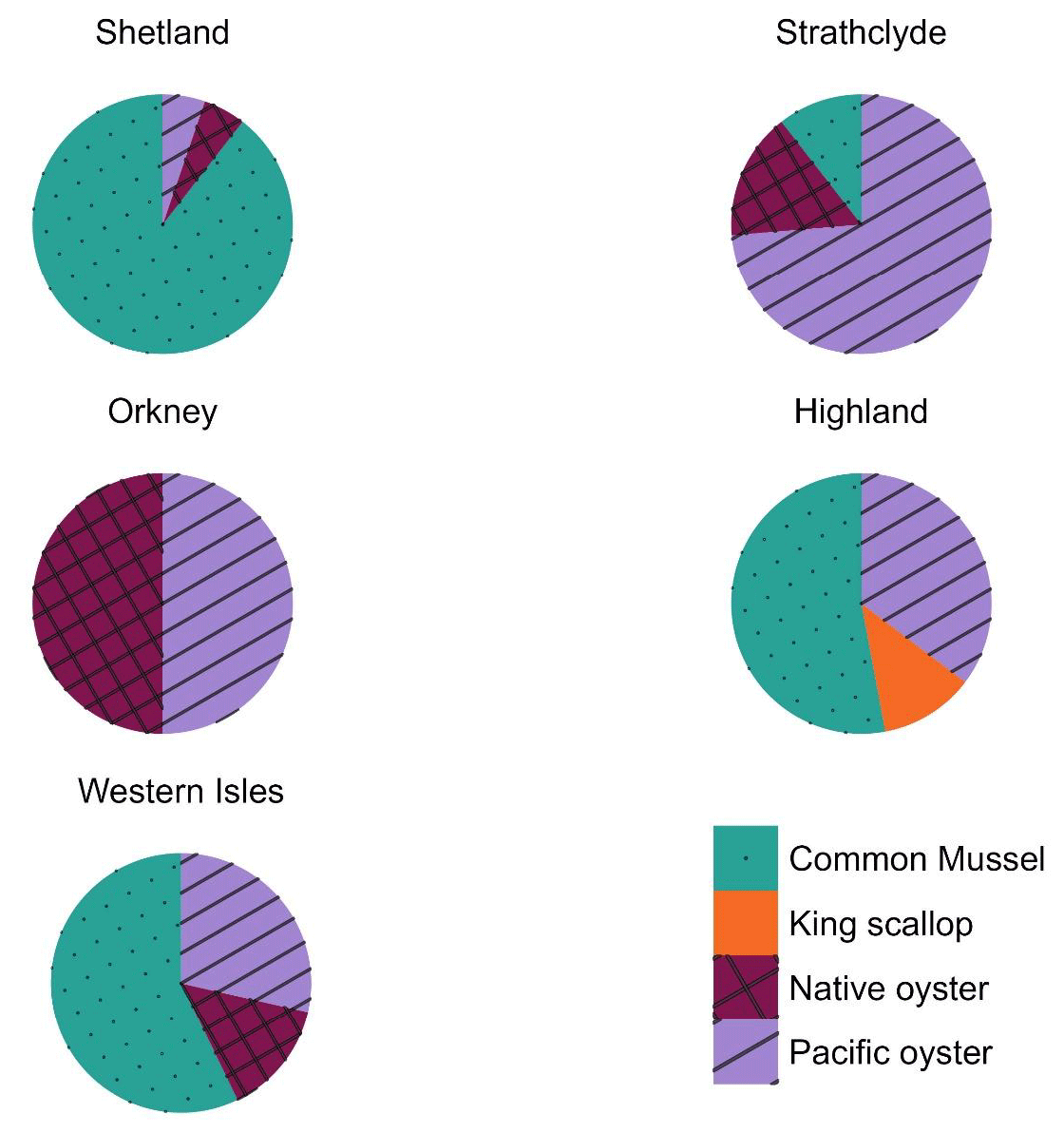 Pie charts showing the proportion of businesses producing common mussel, king scallop, native oyster, and Pacific oyster in 2025 across Shetland, Strathclyde, Orkney, Highland, and Western Isles.