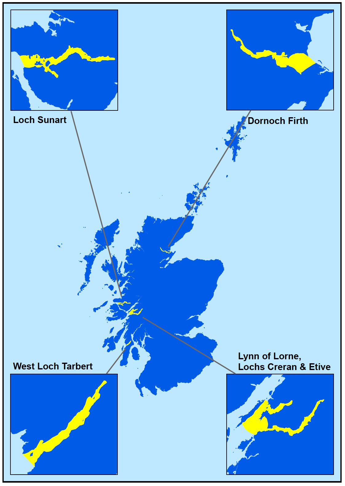 Map showing Scottish areas with movement restrictions due to Bonamia ostreae, with designated locations highlighted.