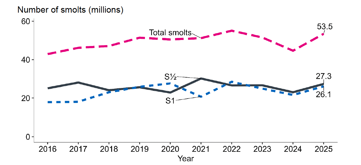 A line graph showing Atlantic salmon smolt production by smolt type between 2016 and 2025.