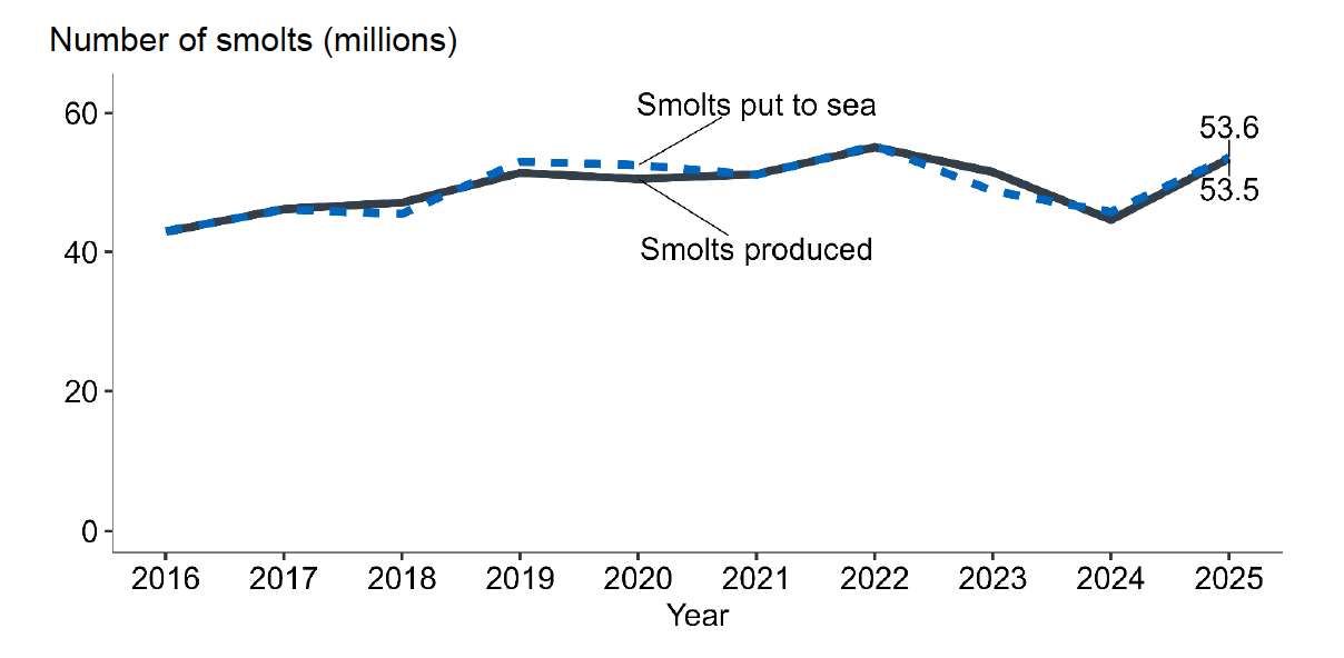 A line graph showing Atlantic salmon smolts produced and smolts put to sea between 2016 and 2025.