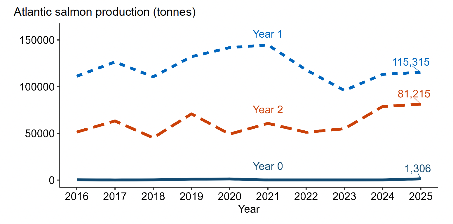 A line graph showing Atlantic salmon production by harvest year class between 2016 and 2025.