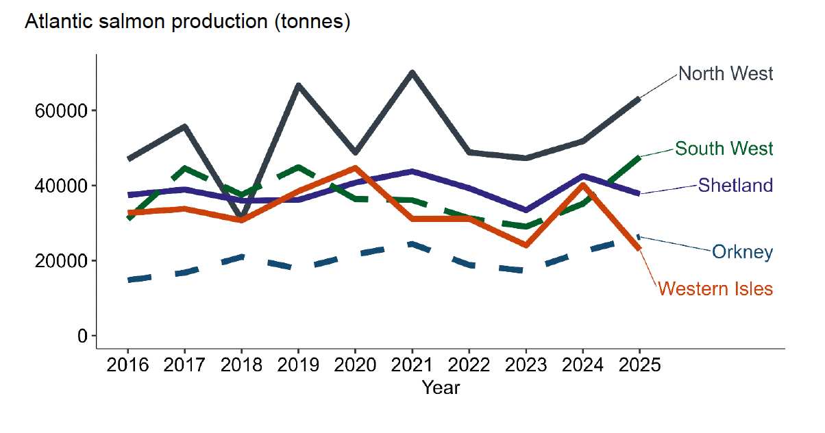 A line graph showing Atlantic salmon production by production area between 2016 and 2025.