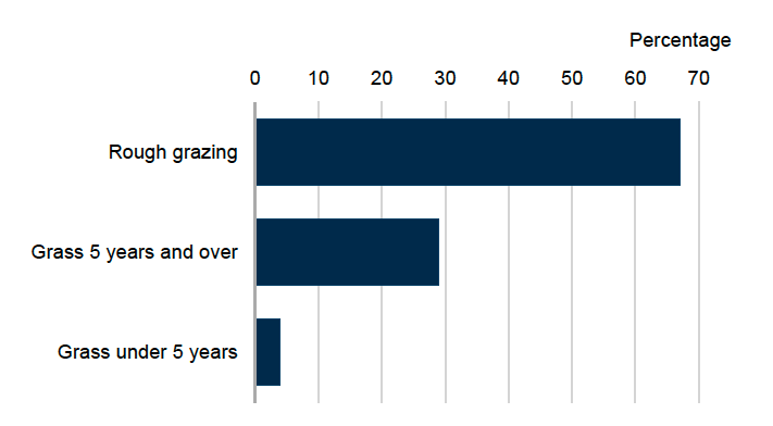 Bar chart showing percentage areas of grassland types including rough grazing grown in Scotland in 2025. Rough grazing accounts for 67%, grassland five years and older 29% and grassland under five years old 4%.