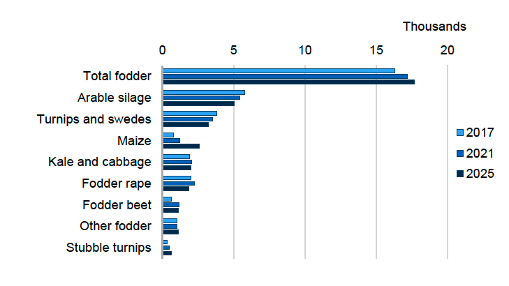 : Bar chart showing area of fodder crops grown in Scotland in 2017, 2021 and 2025. In 2025, the total fodder accounted for ca.17,700 ha, arable silage accounted ca. 5,000 ha, turnips and swedes ca. 3,200 ha, maize ca. 2,600 ha, kale and cabbage ca. 2,000 ha, fodder rape ca. 1,900 ha, fodder beet ca. 1,100 ha, other fodder ca. 1,100 ha and stubble turnips 640 ha. 