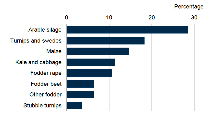 : Bar chart showing percentage areas of fodder crops grown in Scotland in 2025. Arable silage accounted for 29%, turnips and swedes 18%, maize 15%, kale and cabbage and fodder rape 11%, fodder beet and other fodder 6% and stubble turnips 4%. 