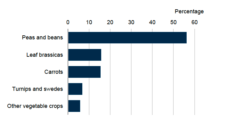 Bar chart showing percentage areas of vegetable crop types grown in Scotland.  Peas and beans accounted for 56%, leaf brassicas 16%, carrots 16%, turnips and swedes 7% and other vegetable crops 6%.