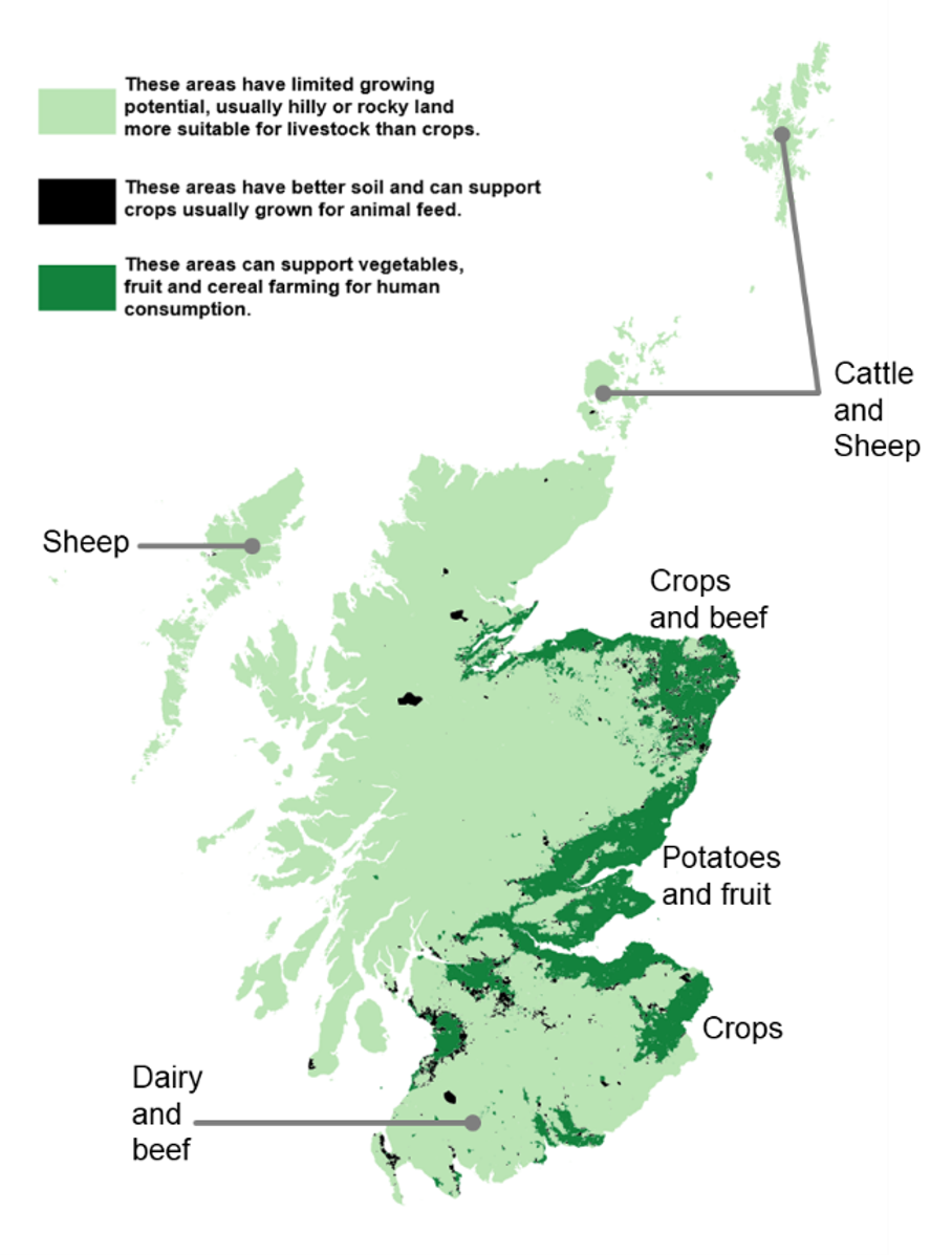 Alt text: Map of Scotland showing land use and growing conditions. Most land in the west and north coasts, Highlands and Islands, and Dumfries and Galloway has limited growing potential and is mainly used for livestock. Labels indicate the majority of land use is used for sheep farming in the Highlands and Lewis; cattle and sheep in Shetland and Orkney; and dairy and beef in Dumfries and Galloway. Areas with better soil conditions, such as the east coast and Ayrshire, support crop production. East Lothian is mainly used for crops; Fife for potatoes and fruit; and Aberdeenshire for crops and beef.