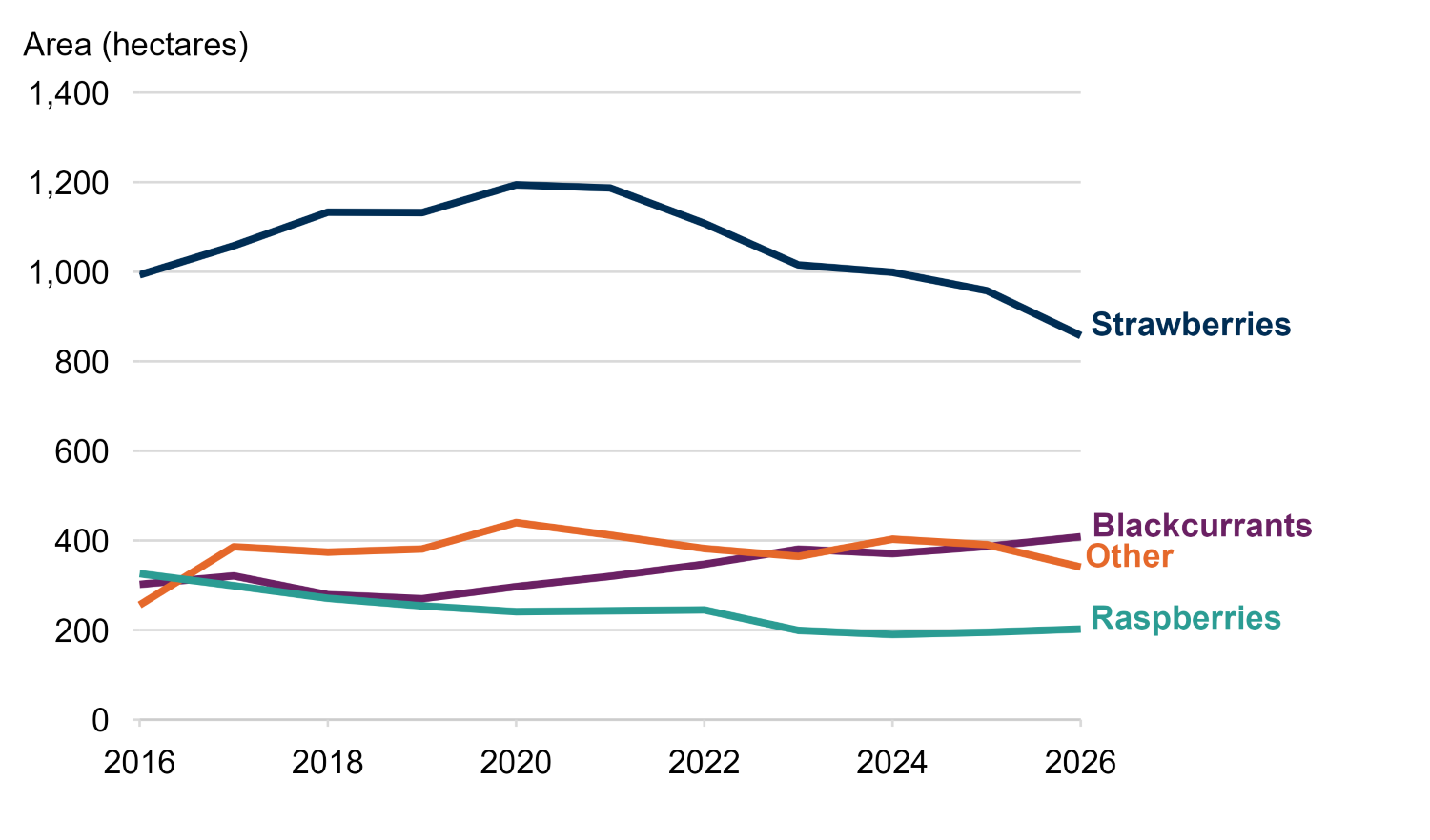 A line chart showing the area of strawberries, blackcurrants, raspberries and other fruit crops from 2016 to 2026. Strawberry area was consistently the largest but declined after 2020. Blackcurrant area generally increased and became larger than other fruit crops by 2026, while raspberry area declined and then remained broadly stable in recent years.
