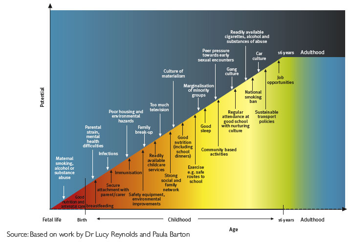 Influences on Health from Conception to Adulthood
