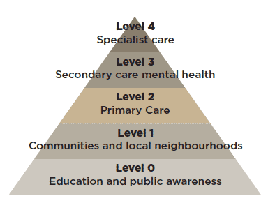 The Way Forward (Figure 1)