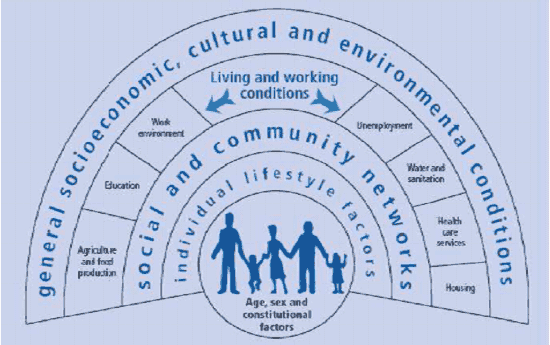 Dalgren and Whiteheads' determinants of health model (1991)