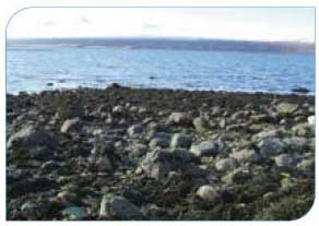 Loch Eriboll Shellfish Water