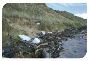 Litter on shore
