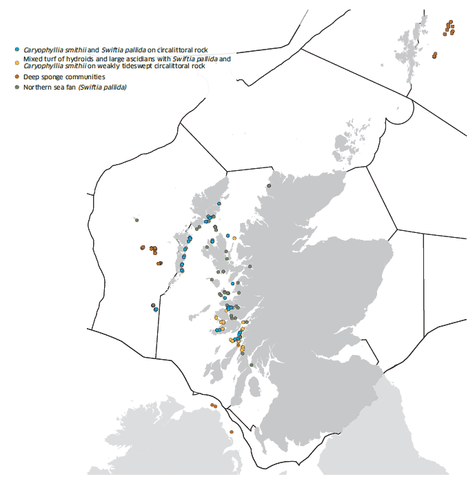 Northern sea fan and sponge communities