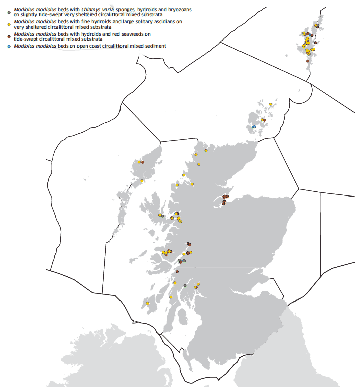 Horse mussel beds map