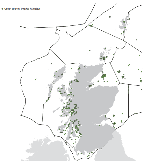 Ocean quahog map