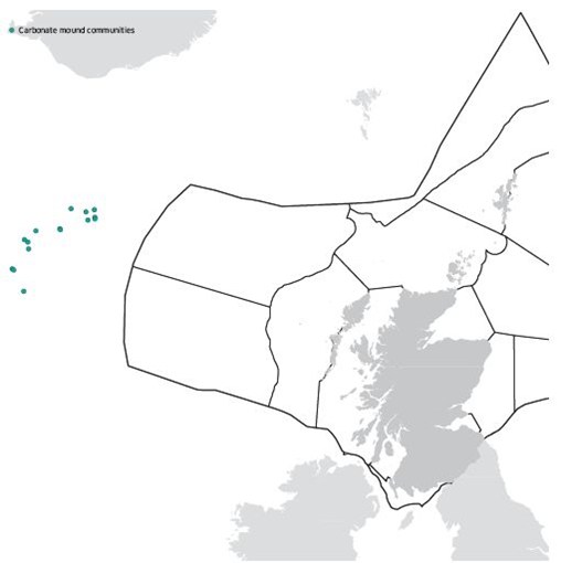 Carbonate mound communities