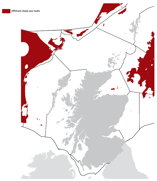 Offshore deep sea muds map