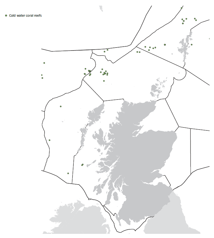 Cold water coral reefs map
