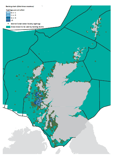 Basking shark map