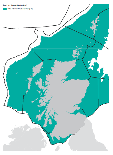 Sandy ray map