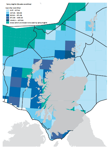 Spiny dogfish map