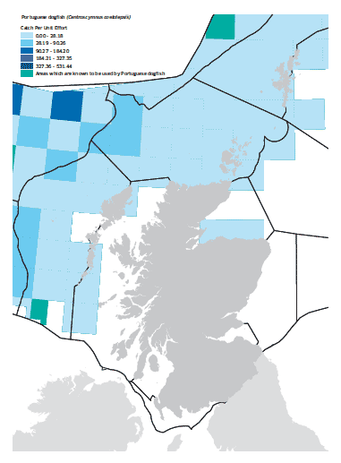 Portuguese dogfish map