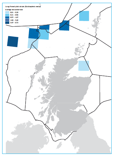 Long-finned pilot whale map