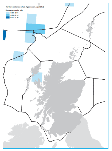 Northern bottlenose whale map