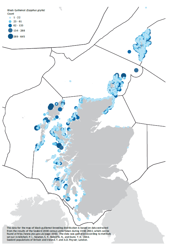 Black guillemot - Cepphus grylle map
