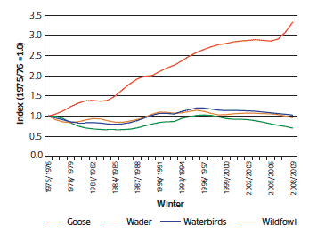 Abundance of wintering waterbirds in Scotland, 1975/76 - 2008/09