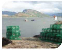 Plockton