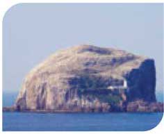 Bass Rock