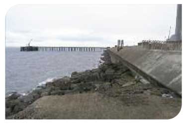 Cooling water intake at Cockenzie
