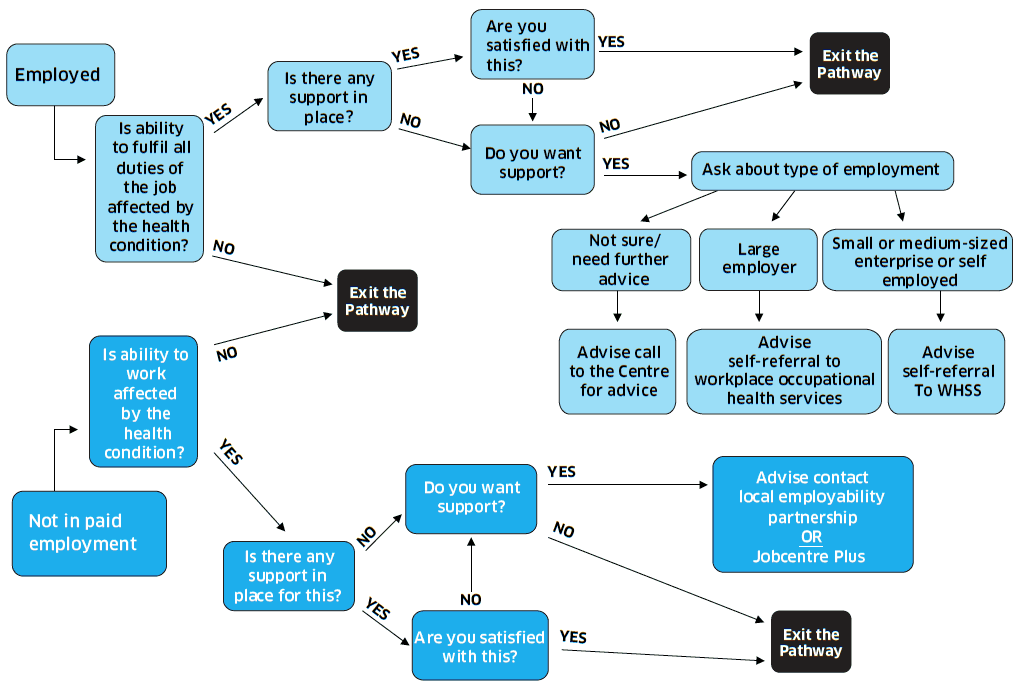 FIgure 3 Health and Work Pathway