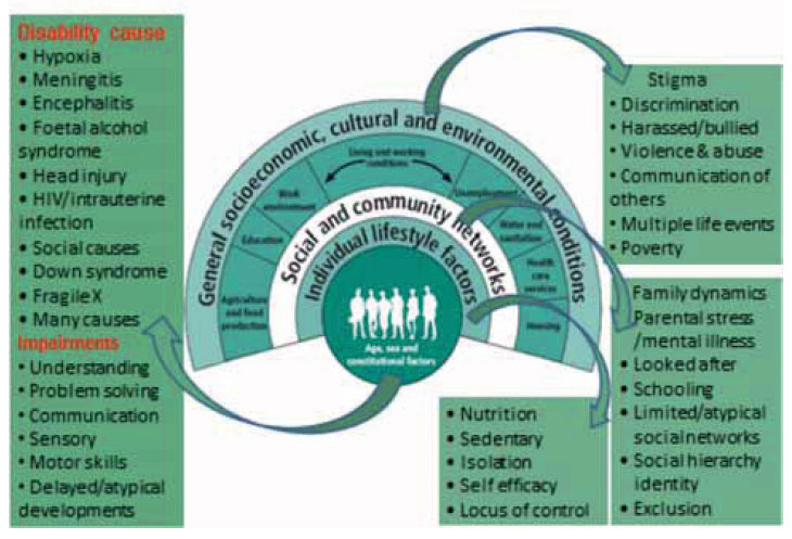 Wider socio-economic determinants of poor health outcomes for people with intellectual disabilities Wider socio-economic determinants of poor health outcomes for people with intellectual disabilities