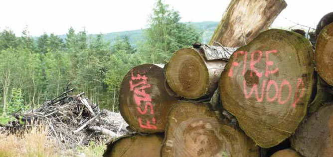 Henderston Firewood