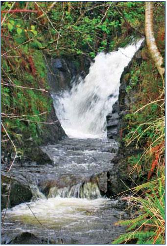 Micro-hydro