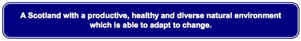 A Scotland with a productive, healthy and diverse natural environment which is able to adapt to change. A Scotland with a productive, healthy and diverse natural environment which is able to adapt to change.