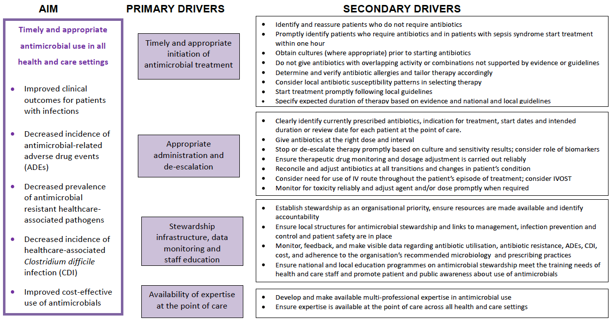 Antimicrobial stewardship driver diagram