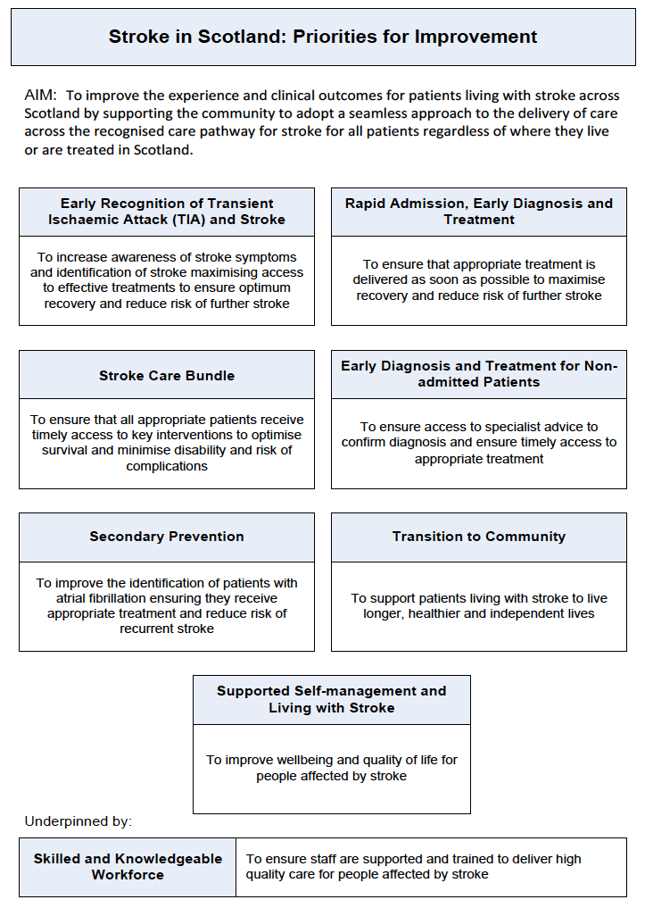 Figure 2 Stroke in Scotland: Priorities for Improvement