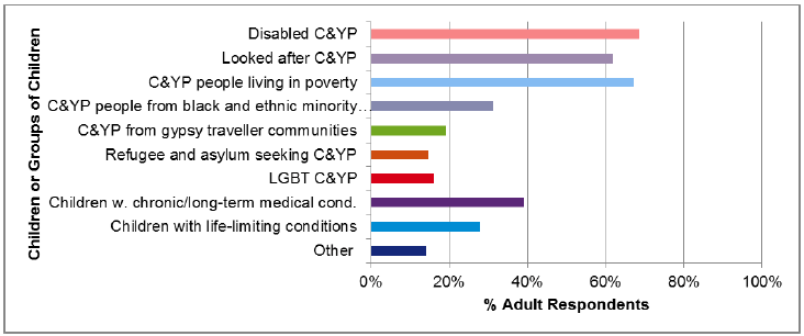 Figure 5 Adults' survey respondents: groups of children and young people respondents were mainly concerned with